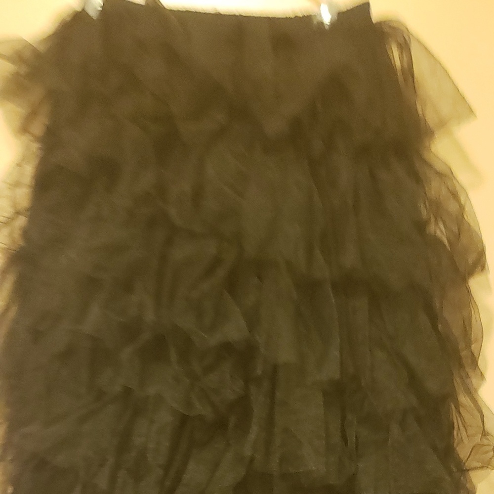 Tulle Skirt